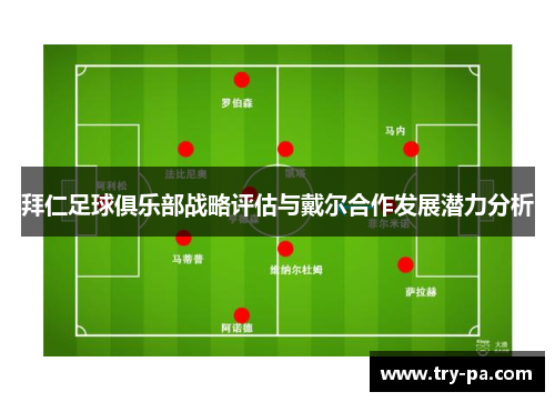 拜仁足球俱乐部战略评估与戴尔合作发展潜力分析