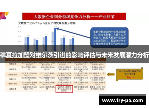 穆夏拉加盟对维尔茨引进的影响评估与未来发展潜力分析