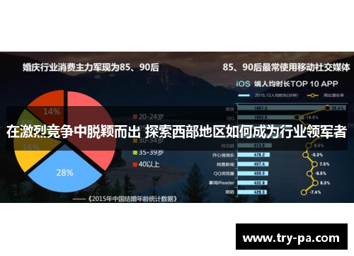 在激烈竞争中脱颖而出 探索西部地区如何成为行业领军者