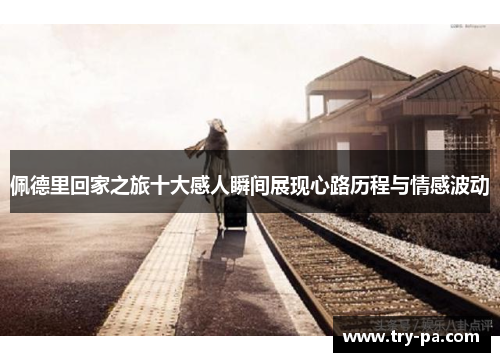 佩德里回家之旅十大感人瞬间展现心路历程与情感波动