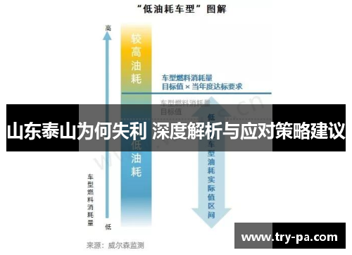 山东泰山为何失利 深度解析与应对策略建议