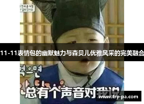 11-11表情包的幽默魅力与森贝儿优雅风采的完美融合