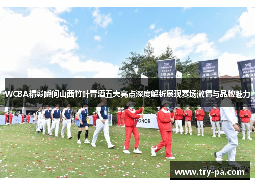 WCBA精彩瞬间山西竹叶青酒五大亮点深度解析展现赛场激情与品牌魅力