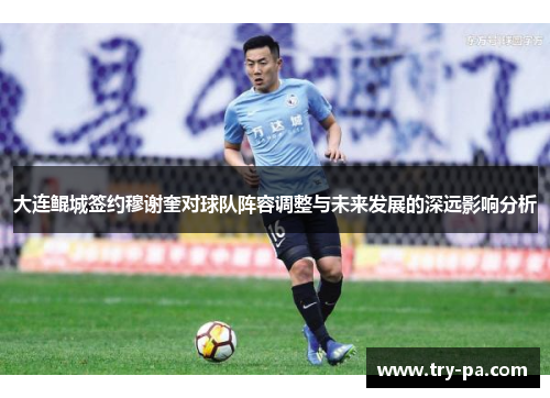 大连鲲城签约穆谢奎对球队阵容调整与未来发展的深远影响分析