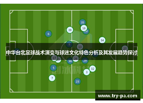 中华台北足球战术演变与球迷文化特色分析及其发展趋势探讨
