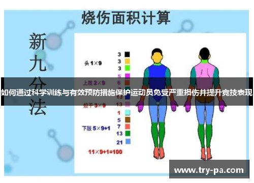 如何通过科学训练与有效预防措施保护运动员免受严重损伤并提升竞技表现