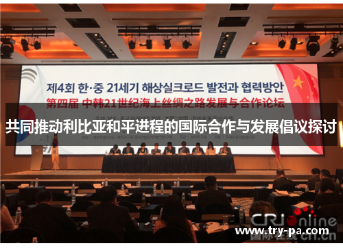 共同推动利比亚和平进程的国际合作与发展倡议探讨