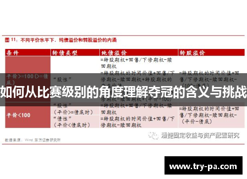 如何从比赛级别的角度理解夺冠的含义与挑战