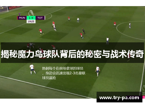 揭秘魔力鸟球队背后的秘密与战术传奇