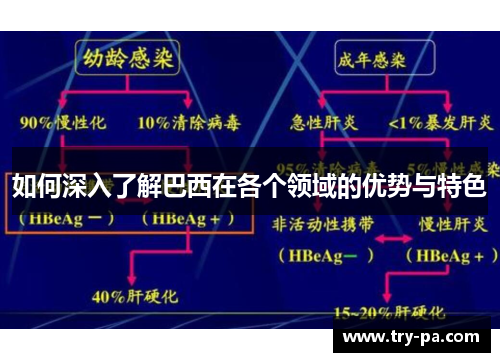 如何深入了解巴西在各个领域的优势与特色
