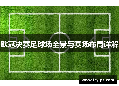 欧冠决赛足球场全景与赛场布局详解
