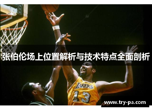张伯伦场上位置解析与技术特点全面剖析