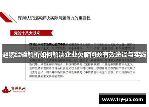 赵鹏经验解析如何解决企业欠薪问题有效途径与实践
