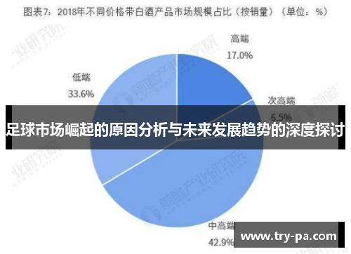 足球市场崛起的原因分析与未来发展趋势的深度探讨