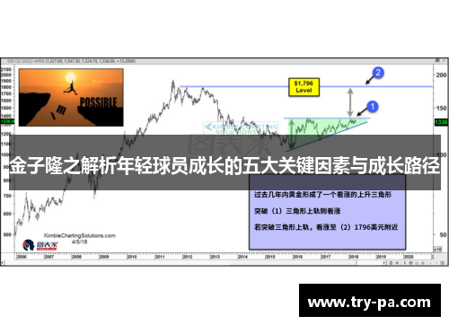 金子隆之解析年轻球员成长的五大关键因素与成长路径