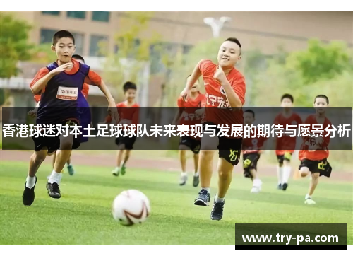香港球迷对本土足球球队未来表现与发展的期待与愿景分析