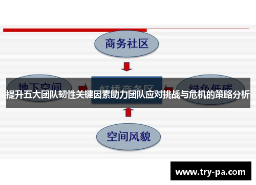 提升五大团队韧性关键因素助力团队应对挑战与危机的策略分析