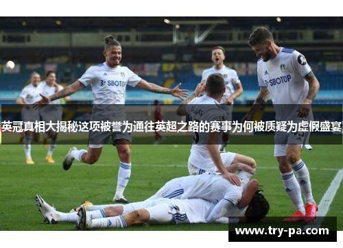 英冠真相大揭秘这项被誉为通往英超之路的赛事为何被质疑为虚假盛宴