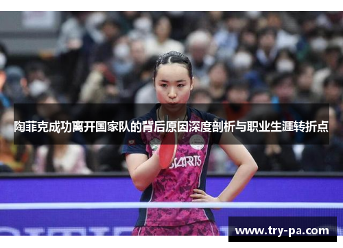 陶菲克成功离开国家队的背后原因深度剖析与职业生涯转折点