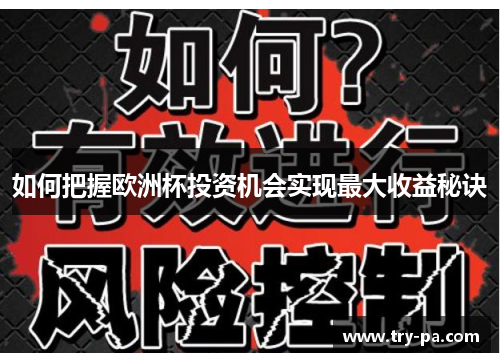 如何把握欧洲杯投资机会实现最大收益秘诀