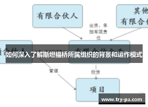 如何深入了解斯坦福桥所属组织的背景和运作模式