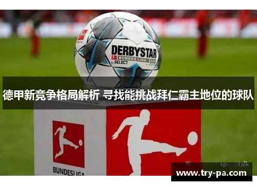 德甲新竞争格局解析 寻找能挑战拜仁霸主地位的球队