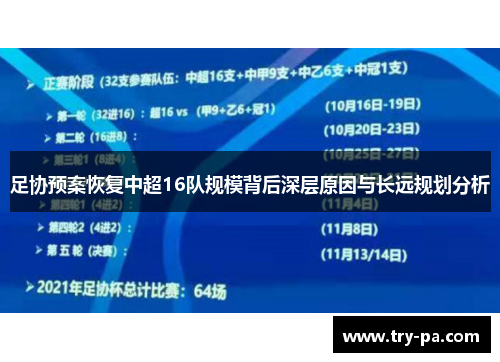 足协预案恢复中超16队规模背后深层原因与长远规划分析