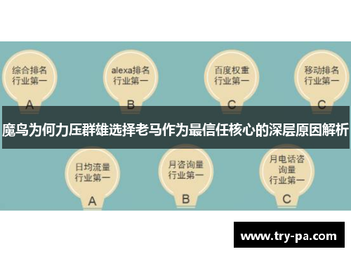 魔鸟为何力压群雄选择老马作为最信任核心的深层原因解析