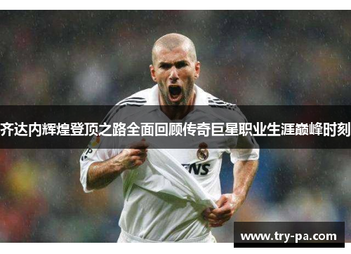 齐达内辉煌登顶之路全面回顾传奇巨星职业生涯巅峰时刻