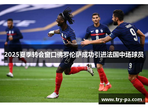 2025夏季转会窗口佛罗伦萨成功引进法国中场球员