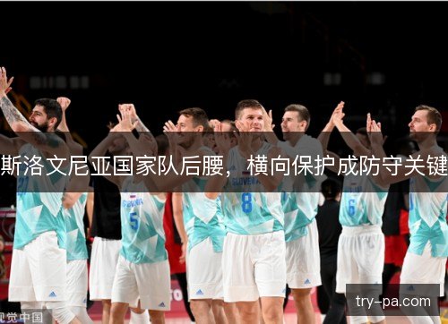 斯洛文尼亚国家队后腰,横向保护成防守关键 斯洛文尼亚国家队后腰,横向保护成防守关键